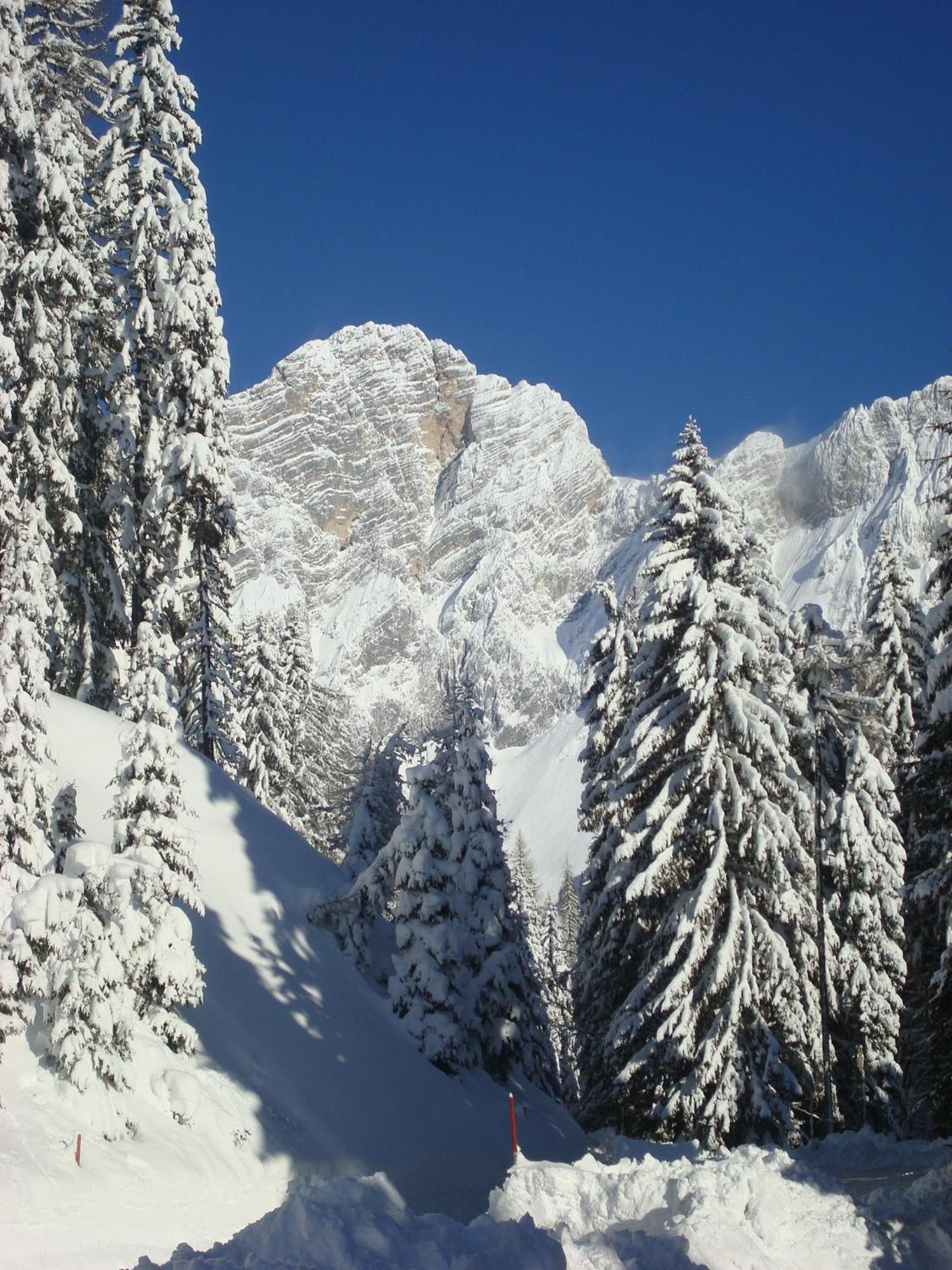 Bergerhof Hotell Ramsau am Dachstein Eksteriør bilde